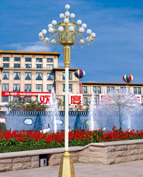 中華燈-成功案例